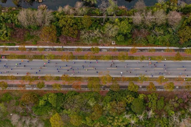 乐鱼app-2026上海长江半马周日鸣枪开跑参赛选手凭“赛事票根”可解锁专属福利